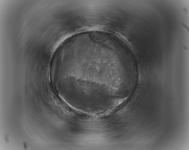 X0000100501174200806271252