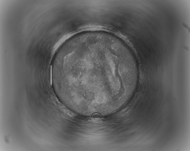 X0000100501175200806271252