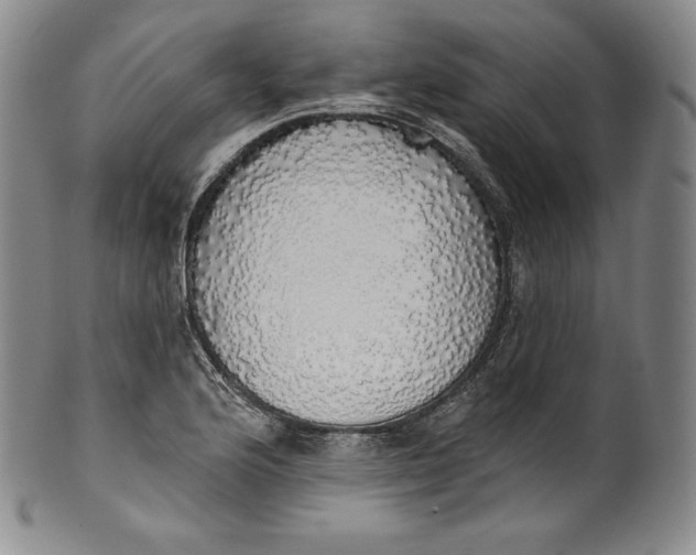 X0000100501176200806271252