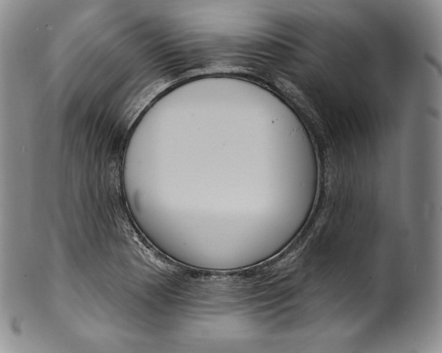 X0000100501177200806271252