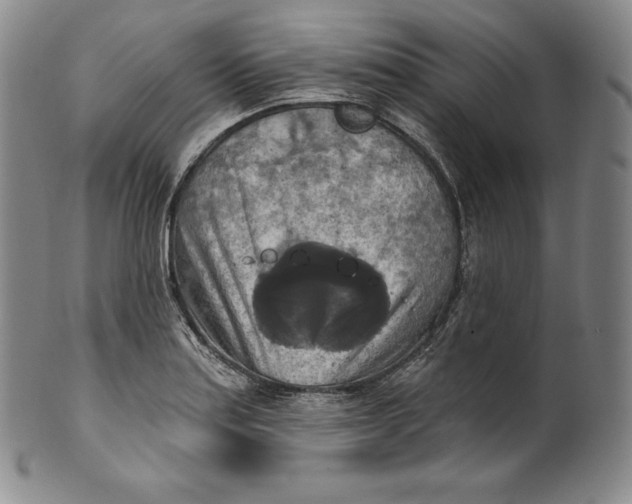 X0000100501179200806271252