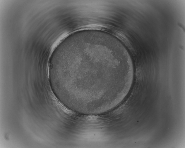 X0000100501180200806271252