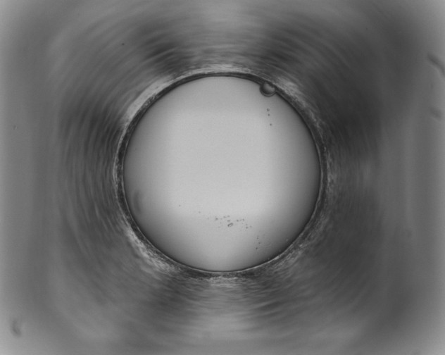 X0000100501181200806271252