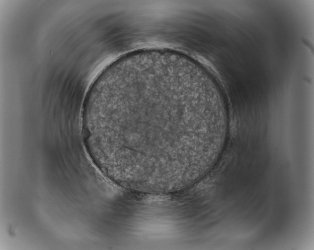 X0000100501183200806271252