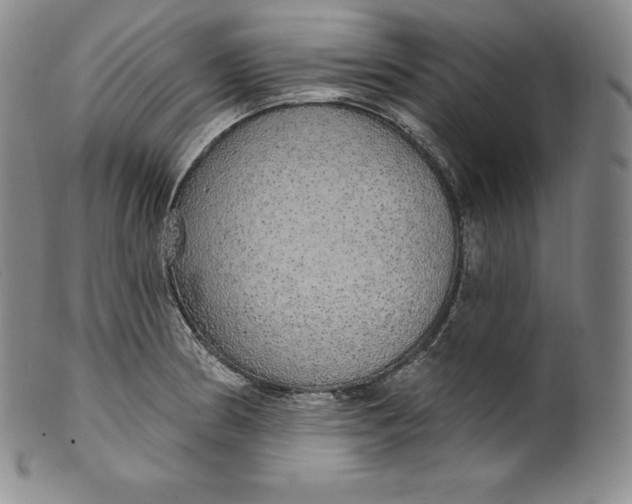 X0000100501186200806271252