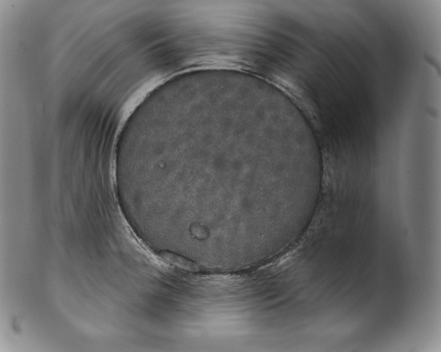 X0000100501188200806271252