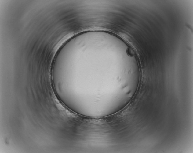 X0000100501189200806271252