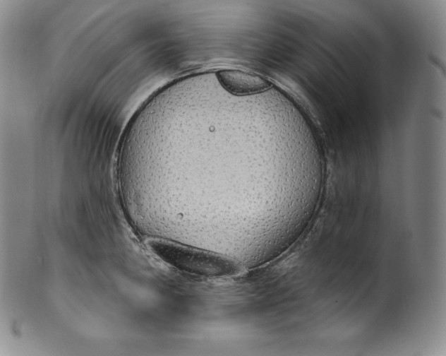 X0000100501190200806271252