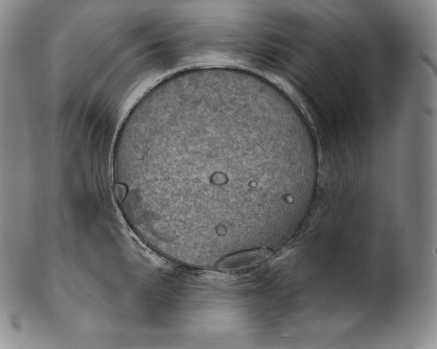 X0000100501191200806271252