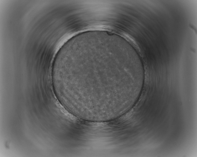 X0000100501192200806271252