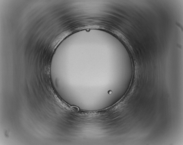 X0000100501193200806271252