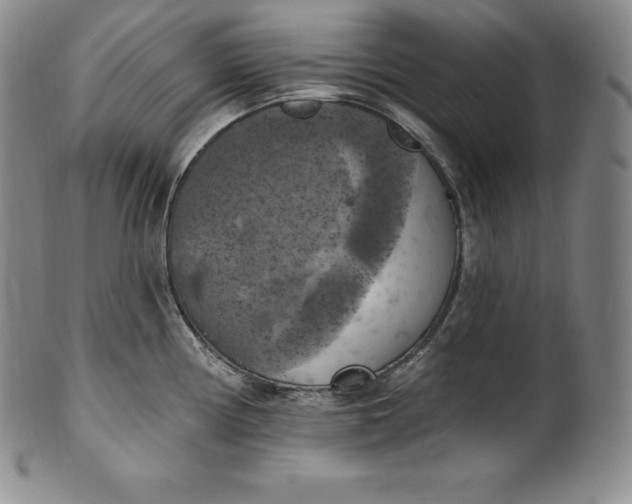 X0000100501194200806271252