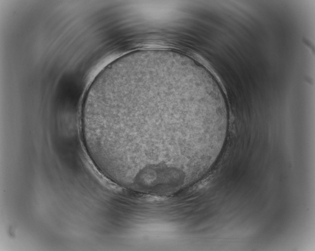 X0000100501195200806271252