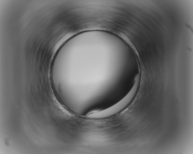 X0000100501197200806271252