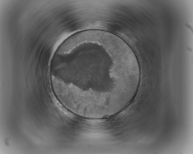 X0000100501200200806271252