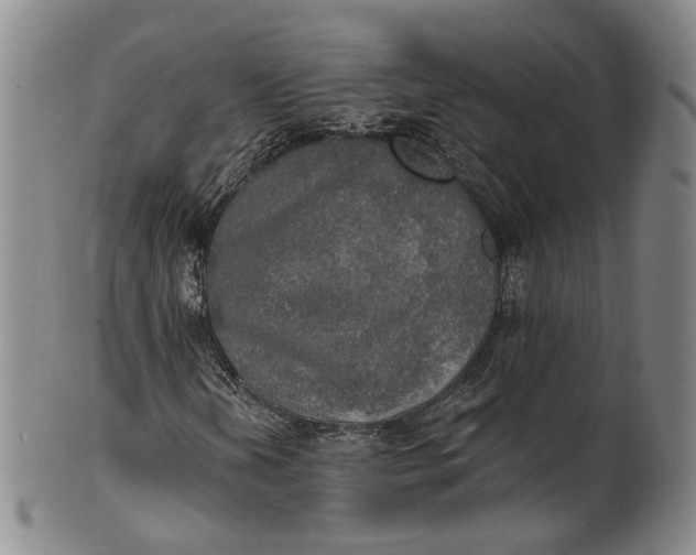 X0000100501202200806271251