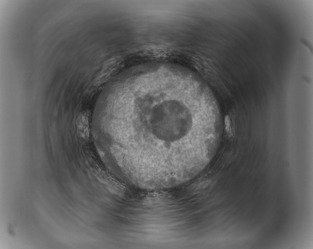 X0000100501203200806271251