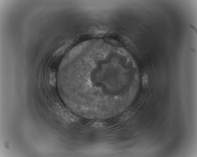 X0000100501204200806271251