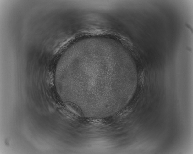 X0000100501205200806271251