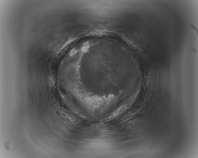 X0000100501206200806271251