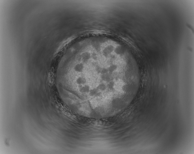 X0000100501207200806271251