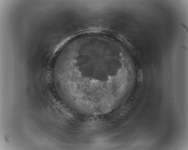 X0000100501208200806271251