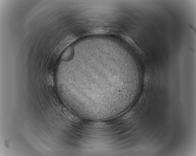 X0000100501209200806271251