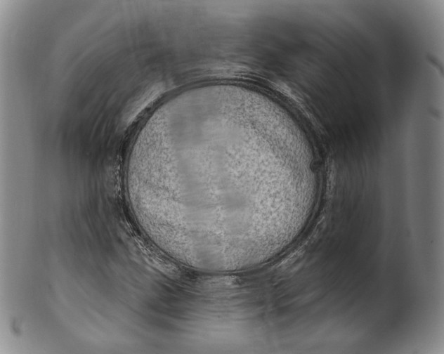 X0000100501211200806271251