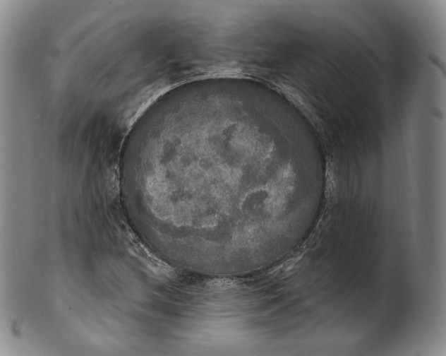 X0000100501212200806271251