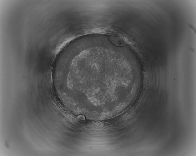 X0000100501214200806271251