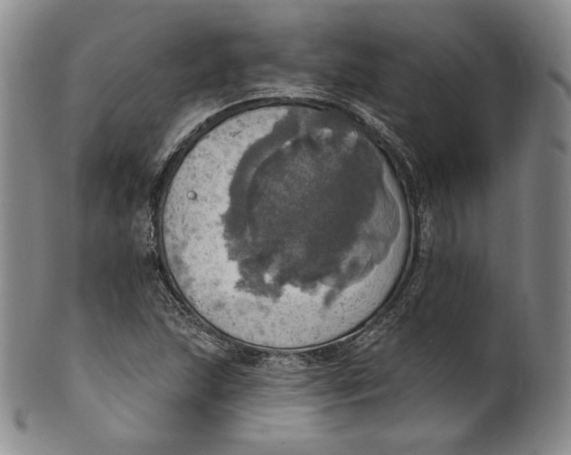 X0000100501215200806271251