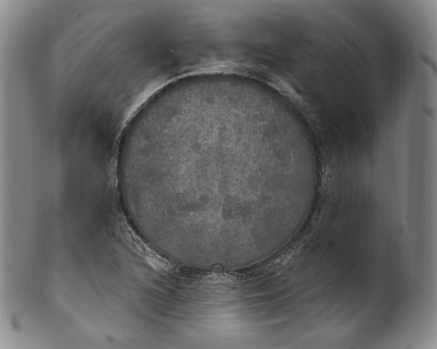 X0000100501216200806271251