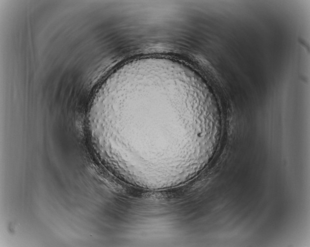 X0000100501217200806271251