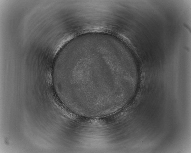 X0000100501218200806271251