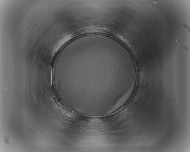 X0000100501219200806271251