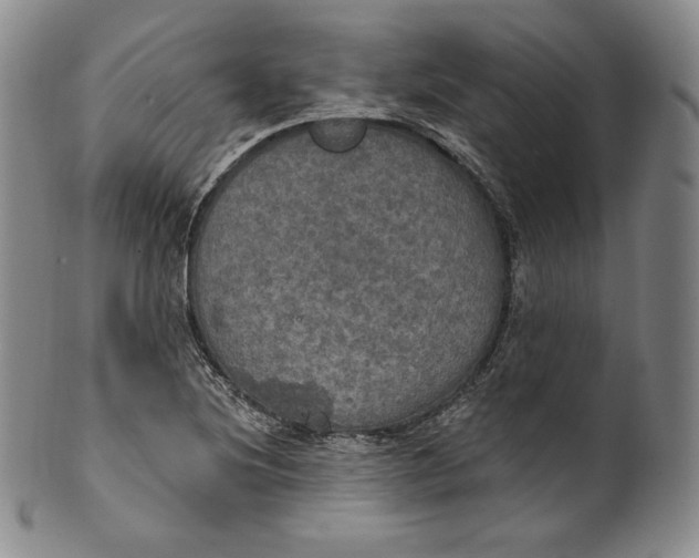 X0000100501220200806271251