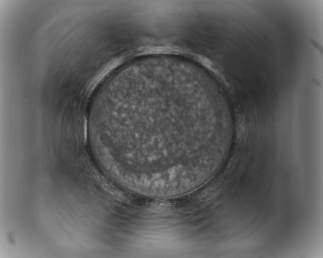 X0000100501221200806271251