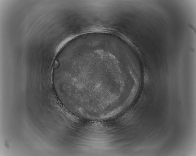 X0000100501222200806271251