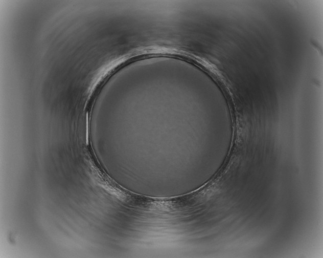 X0000100501223200806271252