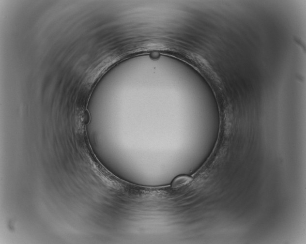 X0000100501225200806271252