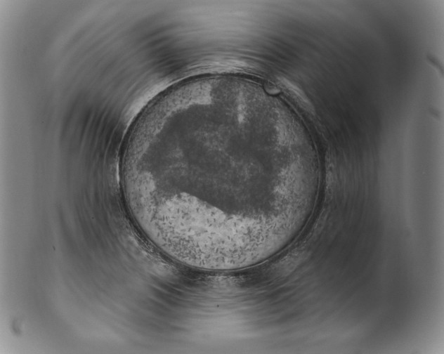 X0000100501226200806271252