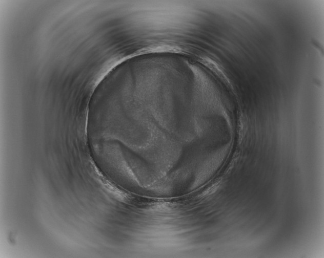 X0000100501228200806271252