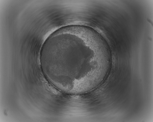 X0000100501230200806271252