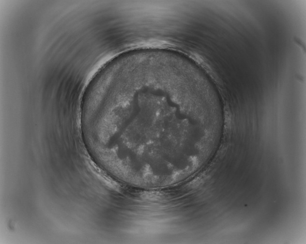 X0000100501232200806271252