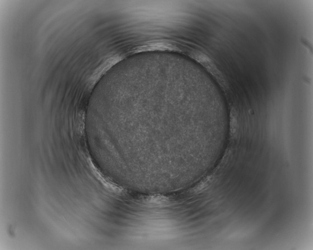 X0000100501233200806271252