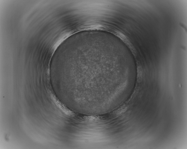 X0000100501234200806271252