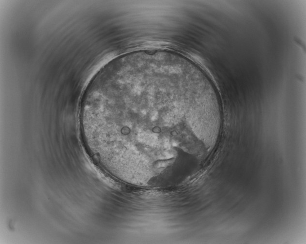 X0000100501235200806271252