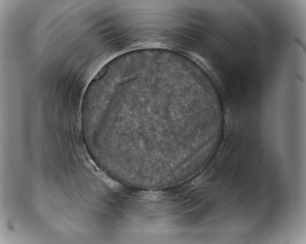 X0000100501236200806271252