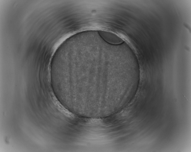 X0000100501238200806271252