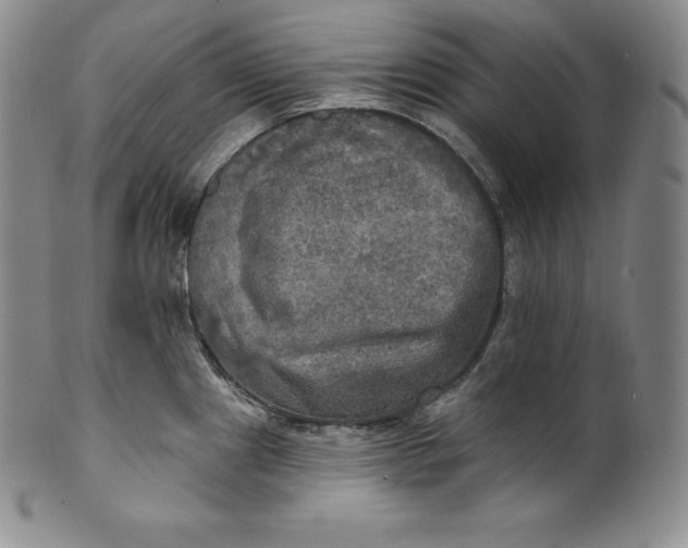 X0000100501241200806271252